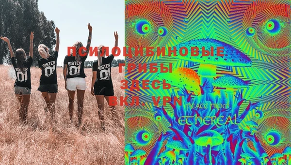 PSILOCYBIN Верхнеуральск